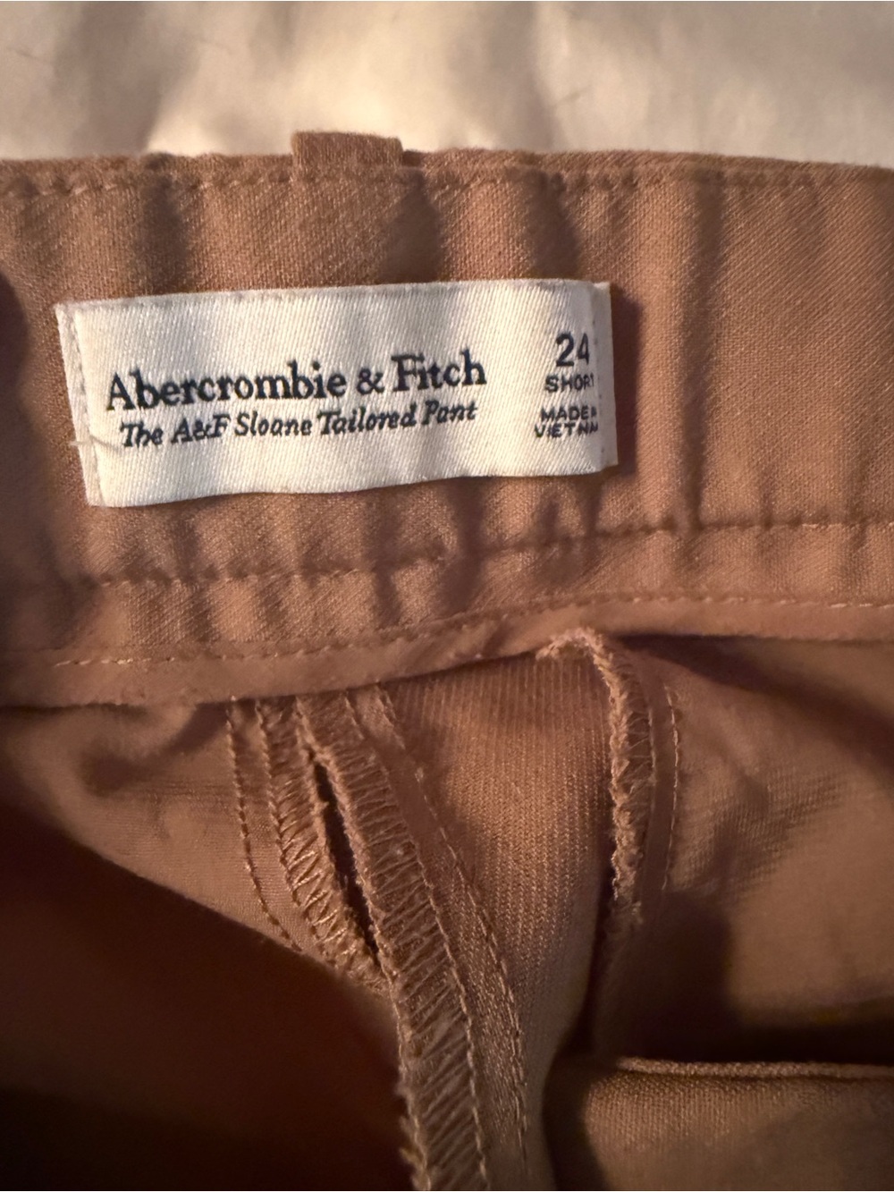 Abercrombie & Fitch Sloane Tailored Pants — Brown